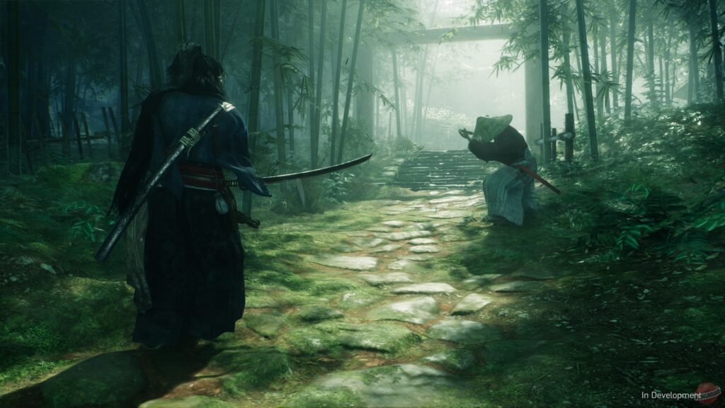 Скриншот Rise of the Ronin