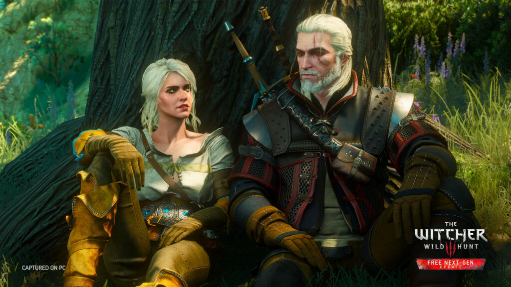 Скриншот The Witcher 3: Wild Hunt