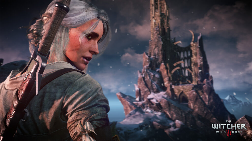 Скриншот The Witcher 3: Wild Hunt