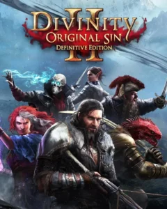 Divinity: Original Sin 2