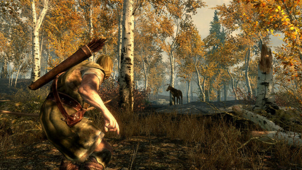 Скриншот The Elder Scrolls 5: Skyrim