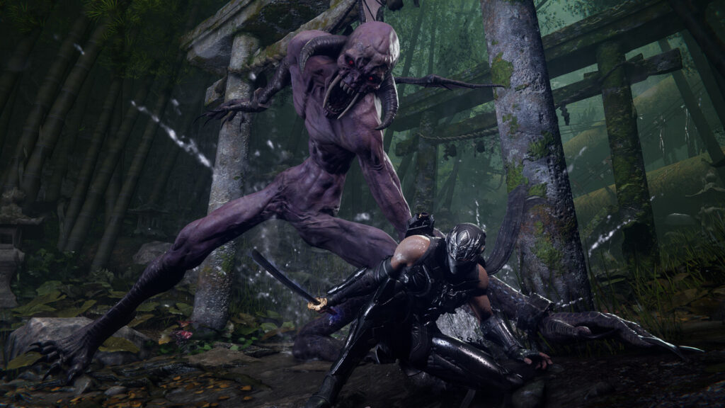 Скриншот Ninja Gaiden 4