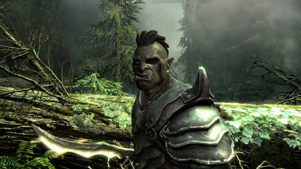 Скриншот The Elder Scrolls 5: Skyrim