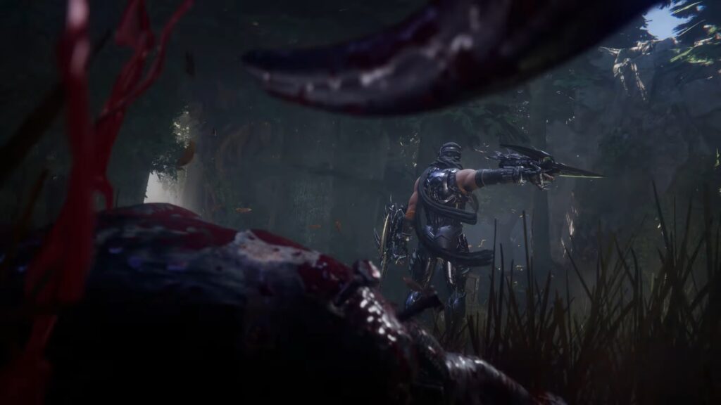 Скриншот Ninja Gaiden 4
