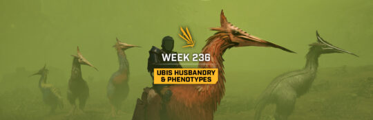 Обновление Icarus: Неделя 236 — разведение убис и фенотипы