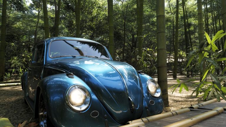 Где найти бамбук в Forza Horizon 6