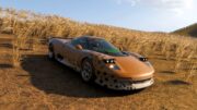 Как пройти фотоиспытание #SnapCat в Forza Horizon 6