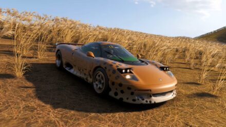 Как пройти фотоиспытание #SnapCat в Forza Horizon 6